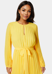 Pleated Gown With Long Sleeves